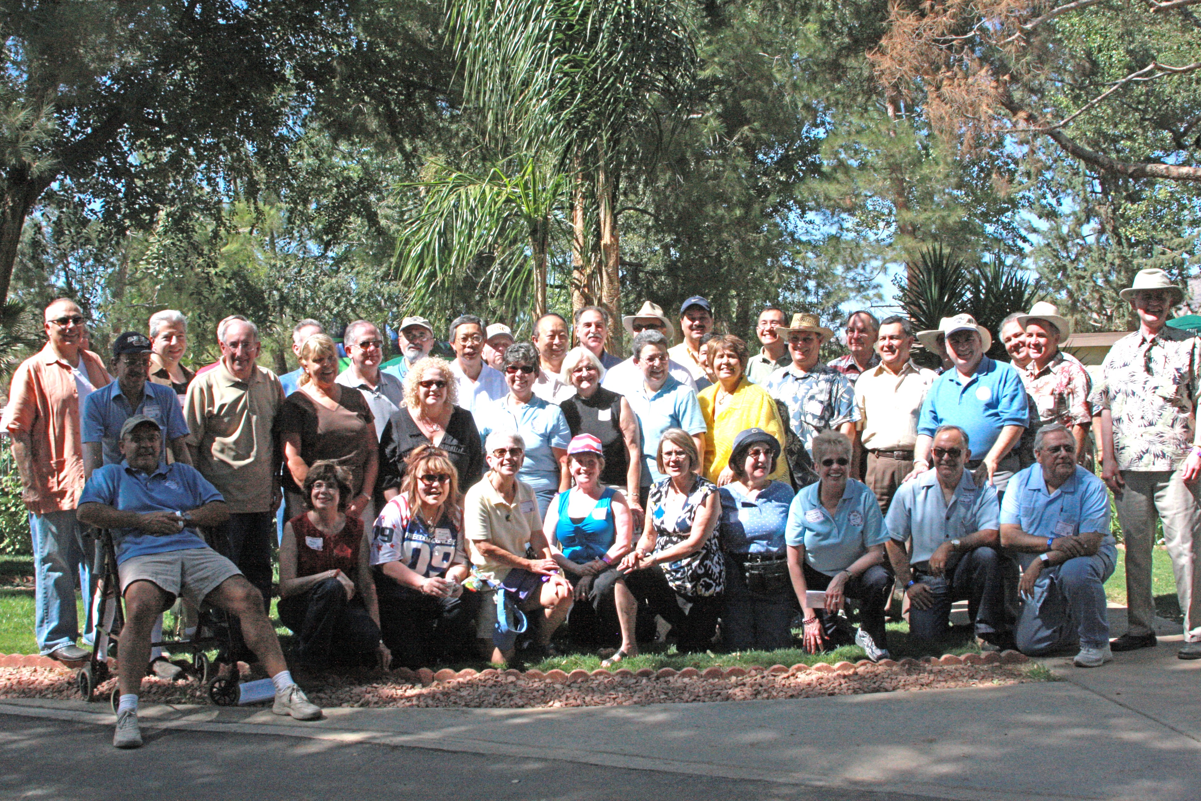 group8137fixed.jpg